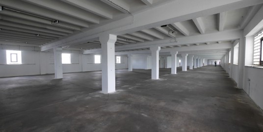 Gewerbeobjekt: Vermietung von Große Lager-/Produktionshalle von ca. 640 m² bis ca. 2500 m²